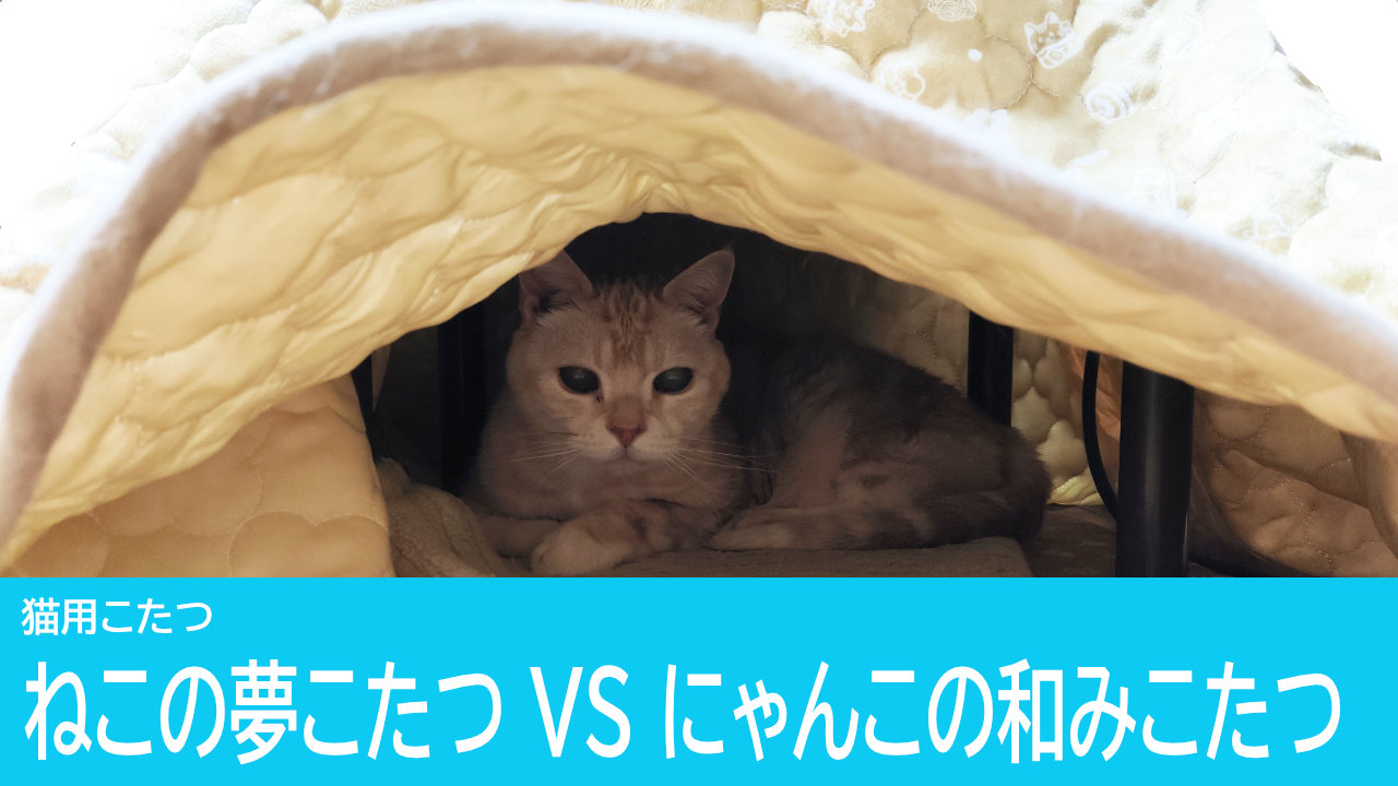 ねこの夢こたつVSにゃんこの和みこたつ どっちがおすすめ？