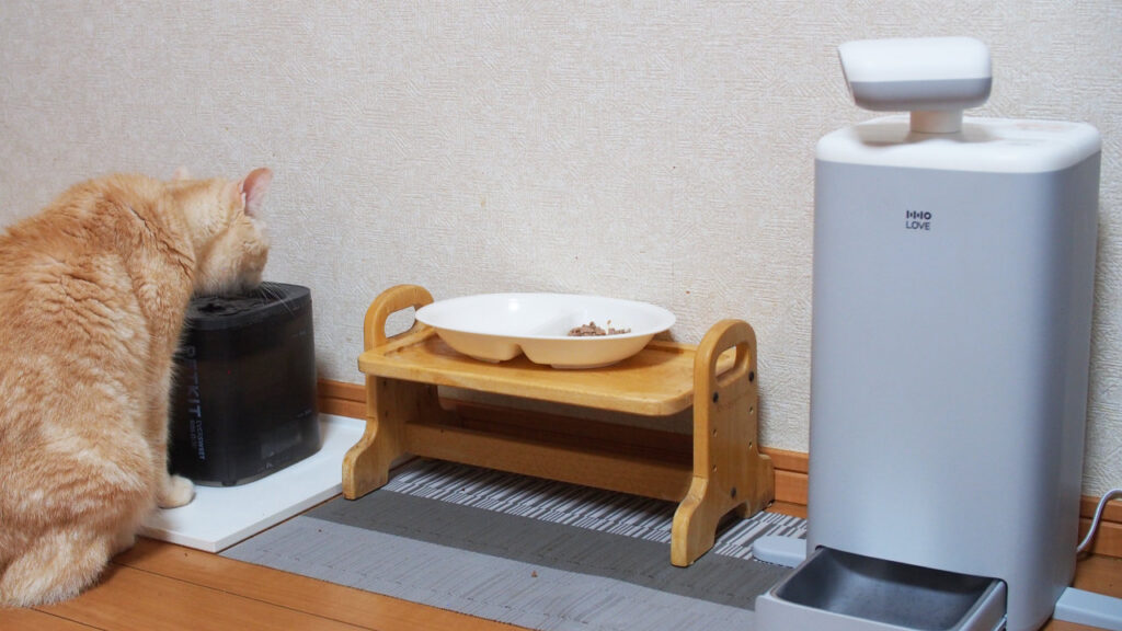 猫が水を飲んている時も。