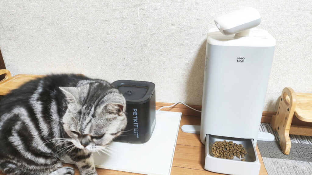 猫が近くに来た時も。