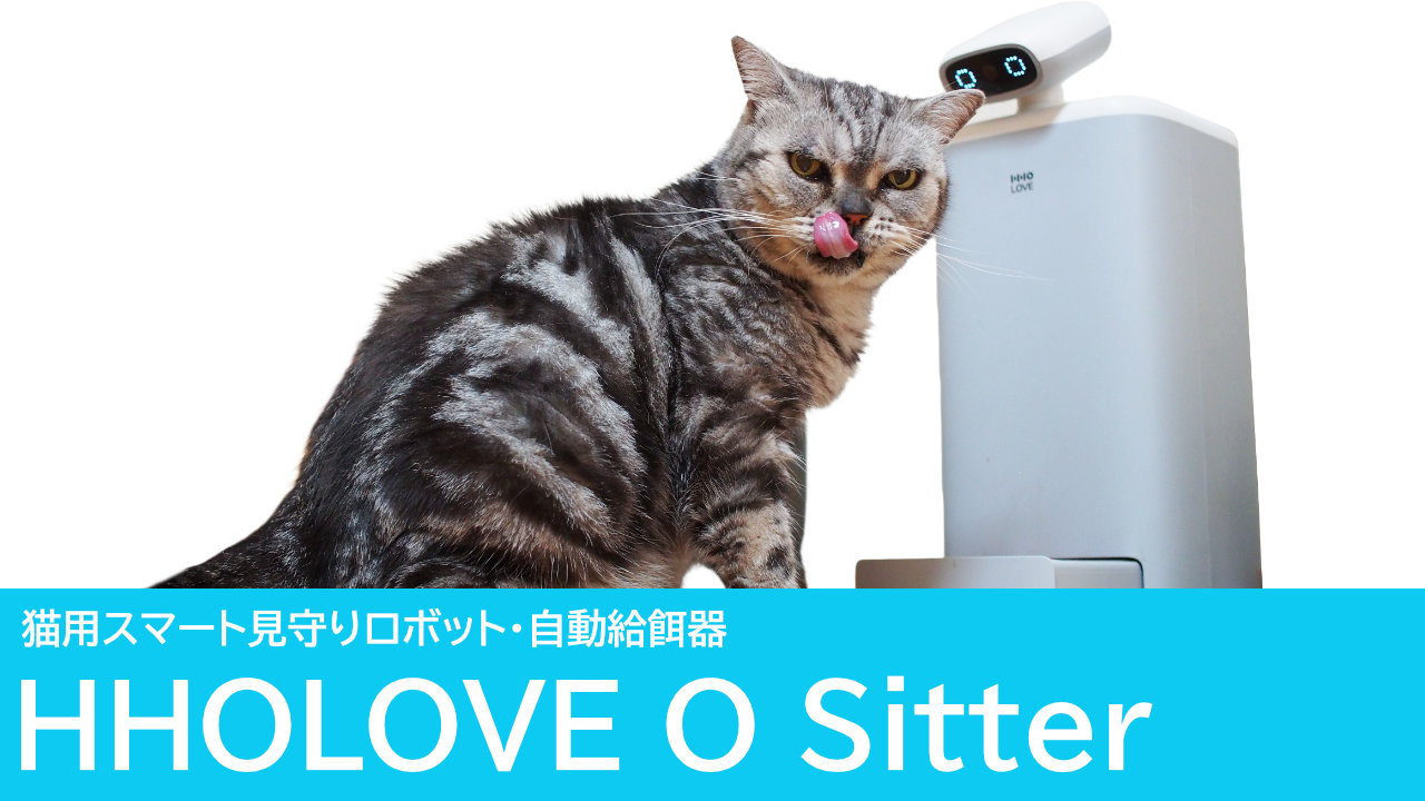 HHOLOVE O Sitterをレビュー：猫用自動給餌器・スマート見守りロボット