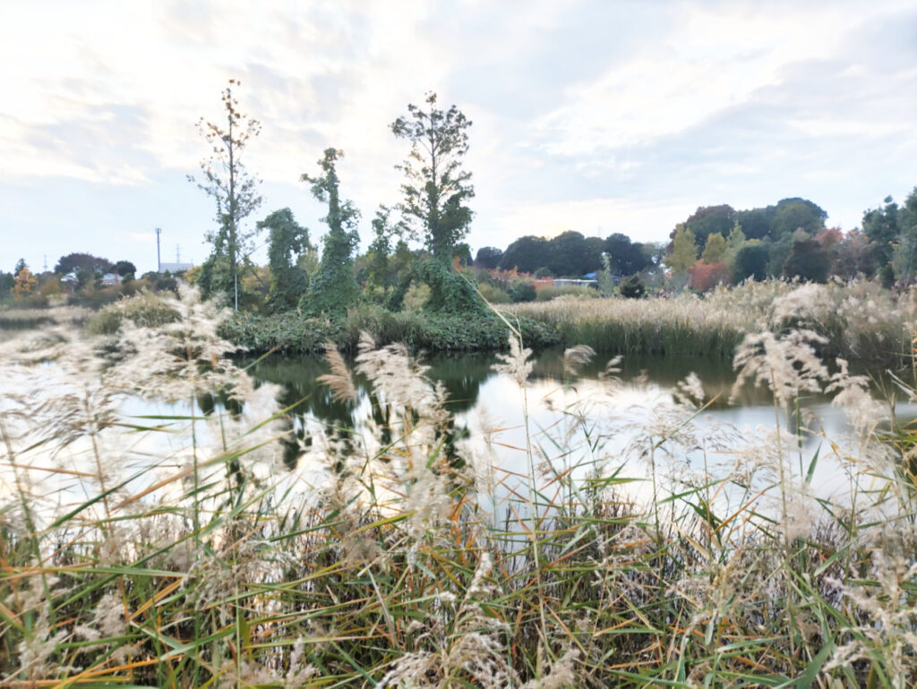 JustTap マグネティックフォン三脚で長時間露光で撮影した写真。