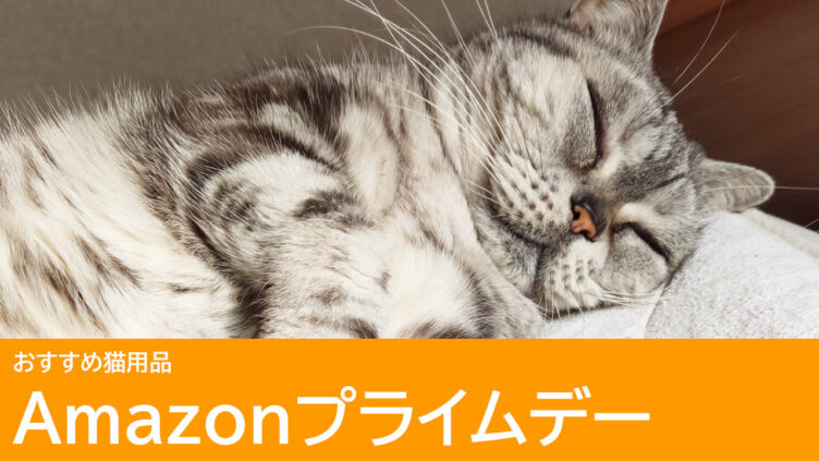 Amazonプライムデーで買いたいおすすめ猫用品