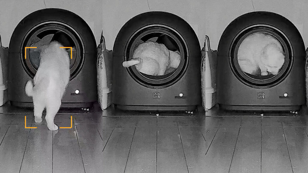 夜間にHHOLOVE 自動猫トイレ Proを使用する様子。