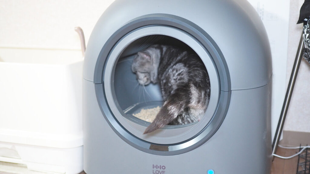HHOLOVE 自動猫トイレ Proでお花摘み中。