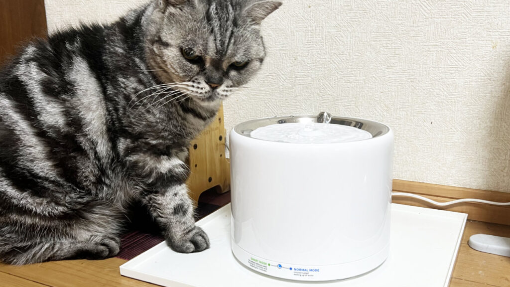 我が家の猫とPETKIT EVERSWEET 3 PRO。