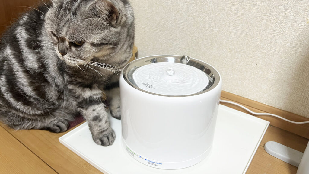 PETKIT EVERSWEET 3 PROを設置したところ。