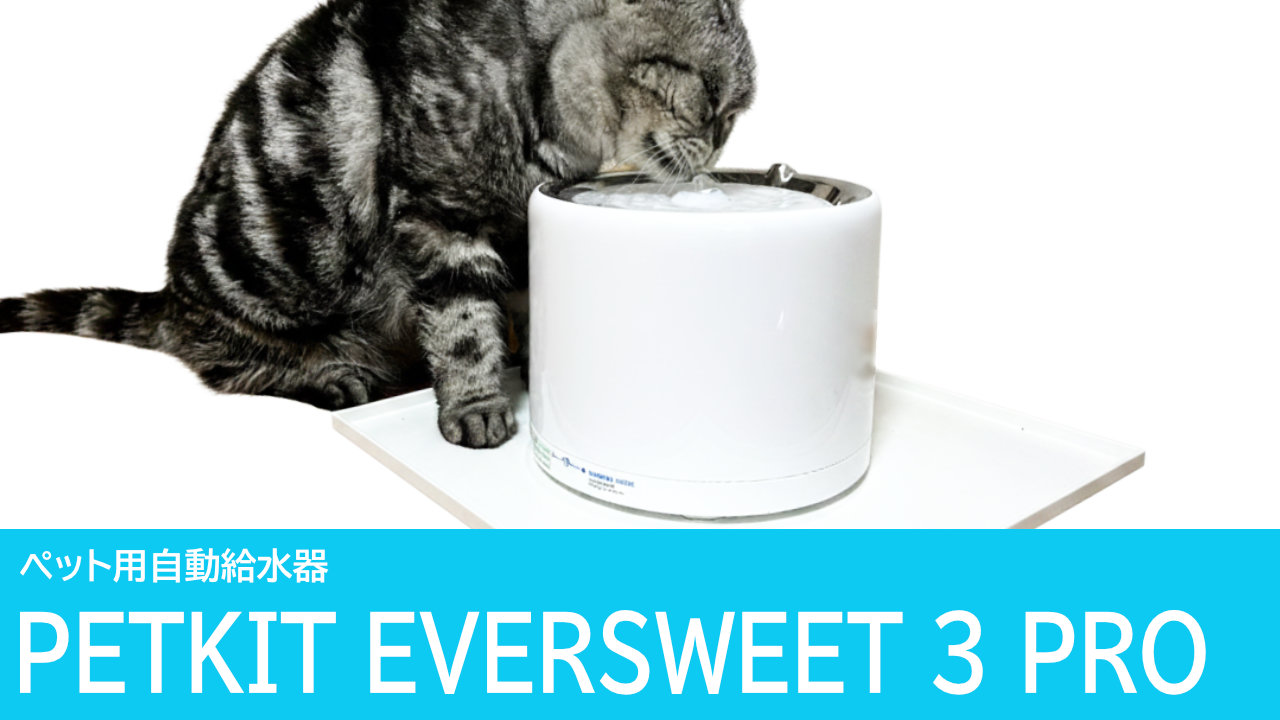 PETKIT EVERSWEET 3 PROをレビュー：ワイヤレスポンプで清掃が簡単な自動給水器