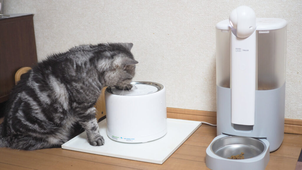 HHOLOVE Yunoは自動給餌に加え、ペットカメラで猫を見守ってくれる。