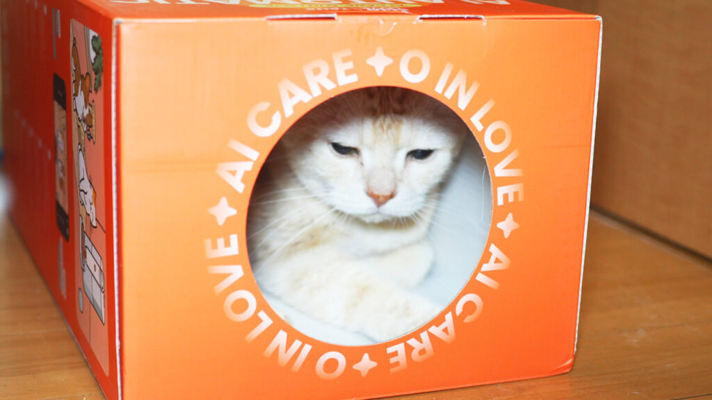 HHOLOVE Yunoのパッケージをキャットハウスにしたところ。